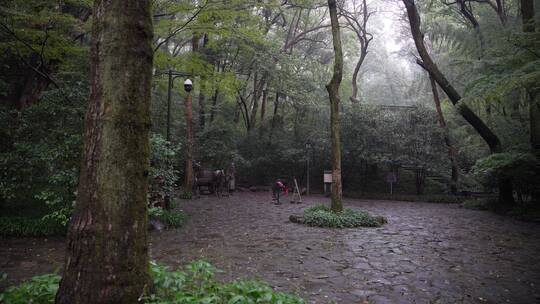 杭州西湖景区虎跑公园