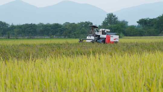 收割机农用机械化农业收稻机丰收