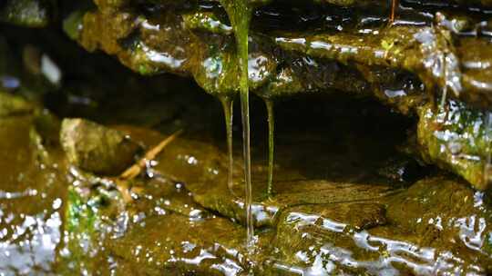 春天冰雪融化岩石苔藓流水泉水