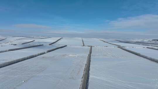 白雪覆盖的农田