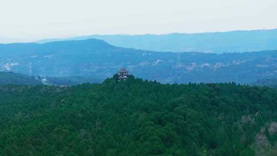 航拍翠云廊森林山林风景