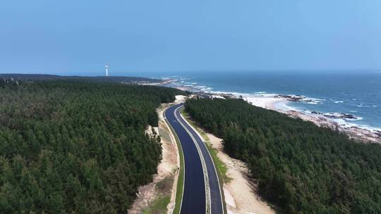 穿过海边森林的公路