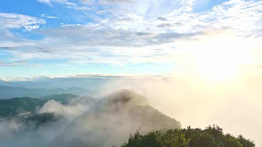 海南省乐东热带国家森林公园尖峰岭耶稣光