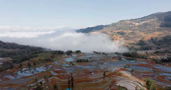 元阳梯田日出，日出光影的梯田