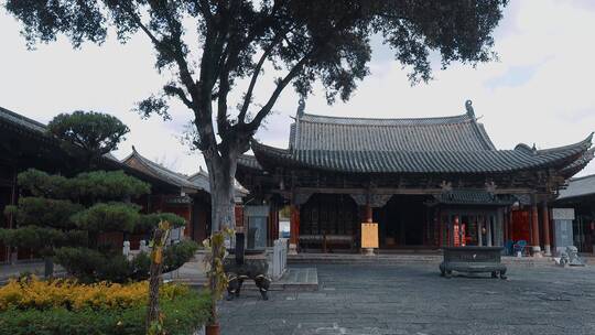 仿古房屋视频云南建水临安古城府衙古楼大树视频素材模板下载