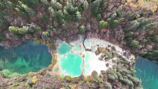 秋天的四川阿坝神仙池景区