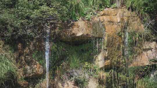 蒸汽，植被，岩石，水道