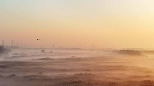 上海地标 城堡 郊区晨雾 上海晨雾 自然