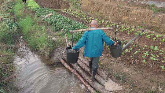 农民挑水灌溉自留地农夫浇菜视频素材模板下载