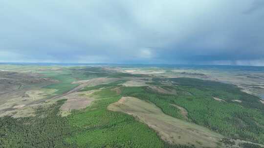 大兴安岭夏日风景丘陵山区沙地樟子松林