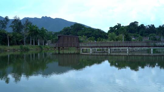 水倒影观景长廊观景台深圳坝光银叶树湿地园