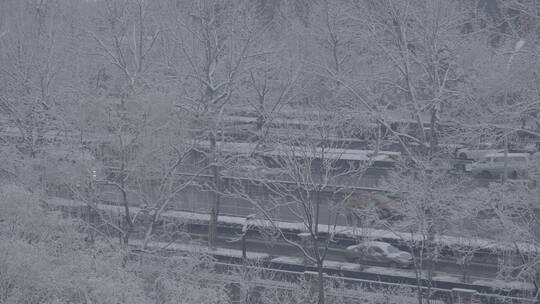 城市雪景 冬天下雪