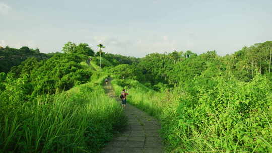 Campuhan Ridge与游客同行