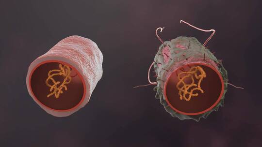 医学病原体病毒病原体病菌细菌医学三维动画