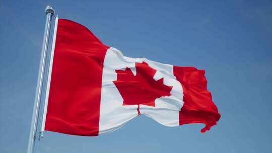 加拿大旗帜视频素材模板下载