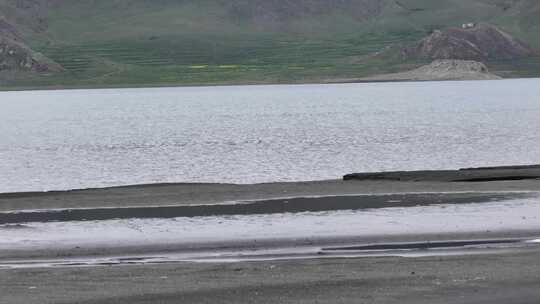 普莫雍措湖岸湿地风光