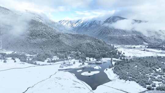 西藏林芝鲁朗林海雪原冬天乡村雪景风光航拍