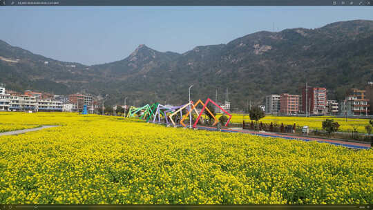 田野油菜花与彩色景观建筑