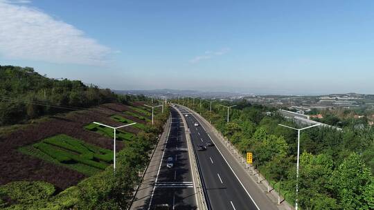 潍九路临朐山旺化石