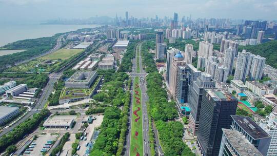 深圳绿化车水马龙汽车