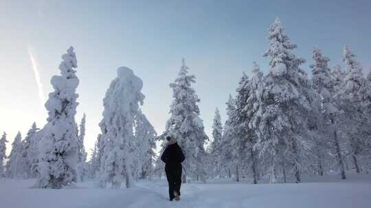 芬兰北极圈拉普兰雪林中探索风景的年轻女子