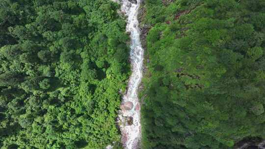 航拍四川甘孜贡嘎山区南门关沟森林河谷风光