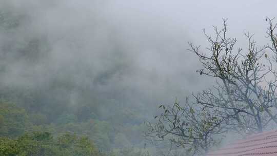 初秋雨中山脉云雾缭绕的绝美自然风光