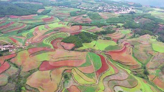 云南东川红土地