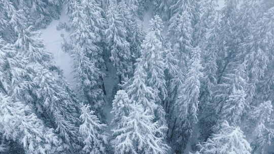 降雪无人机云杉森林的冬季仙境背景复制空间