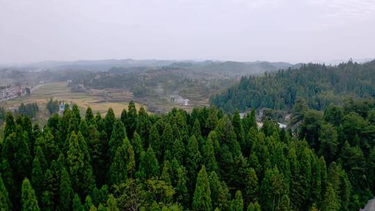 文成的乡村风貌