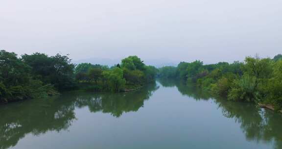 杭州西溪湿地公园夏天风光航拍