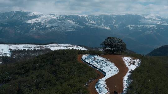 冬季云南红土地雪景积雪覆盖山川大地神树