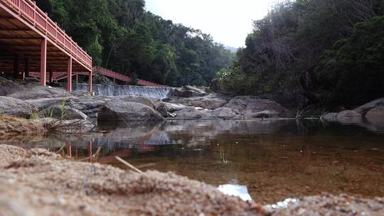 4K实拍海南尖峰岭雨林谷平静的水面