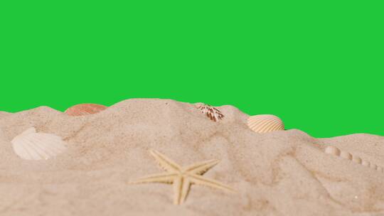 沙滩上的贝壳海星