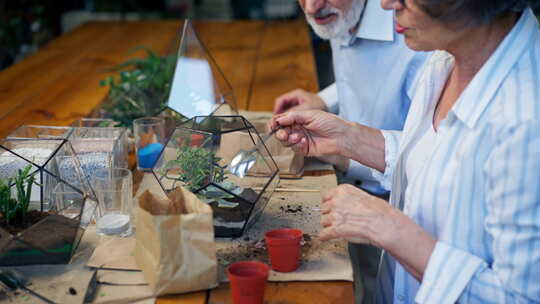 为长者创作植物构图特写大师班快乐老年长者