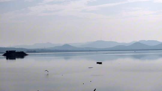 初冬意境朦胧湖面水鸟