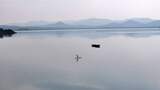 初冬意境朦胧湖面水鸟高清在线视频素材下载