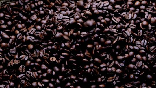 咖啡豆视频
