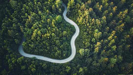 航拍山区森林蜿蜒的道路