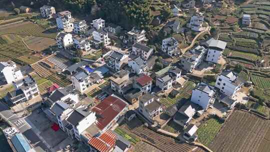 乡村道路旁的房屋与田地河流景观