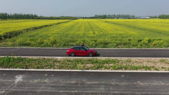 上海 崇明岛 汽车 旅拍 风景 树林视频素材模板下载