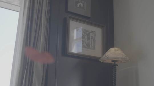 室内摆件与艺术品现代家居装饰细节展示