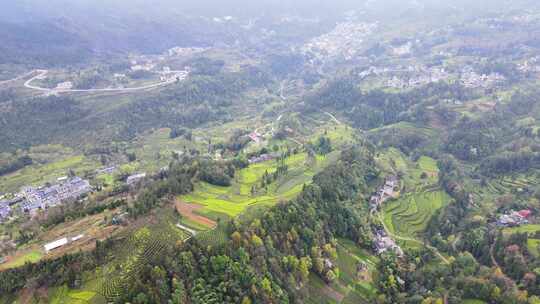 大山里的绿色茶园美景景色航拍