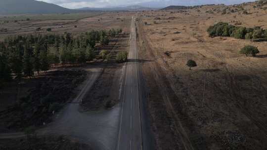 戈兰高地以色列路边空荡荡的街道，树木和风景。我