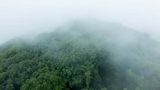 云雾缭绕森林航拍