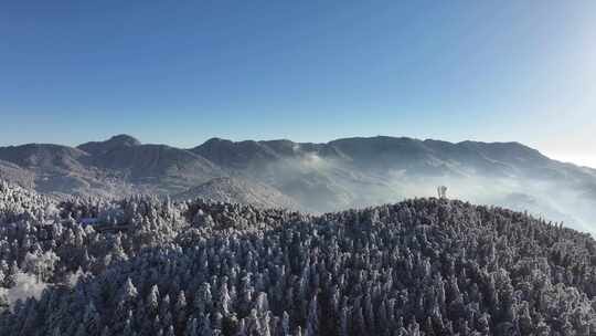 庐山雪后初霁森林航拍