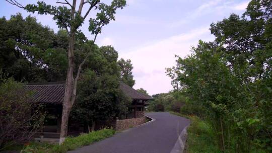 杭州国家西溪湿地公园梅竹山庄4K视频素材