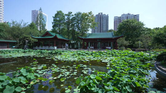 武汉汉口现代园林解放公园