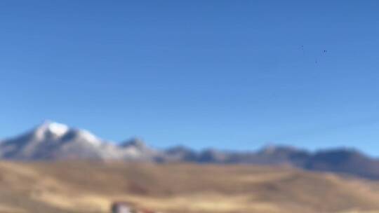 行车横移视角高原枯黄的草原雪山视频素材模板下载