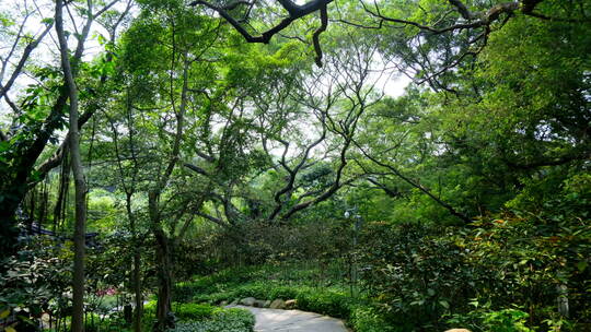 广州 越秀公园 古建筑 中式 园林 庭院 门楼